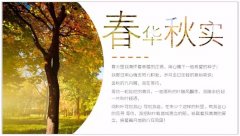 在PPT设计中如何使用文字填充来丰富版面设计