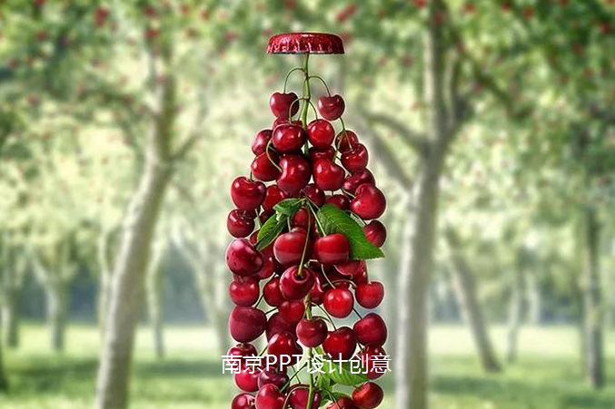 南京PPT设计公司