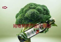 如何平衡南京政务PPT设计的色彩关系